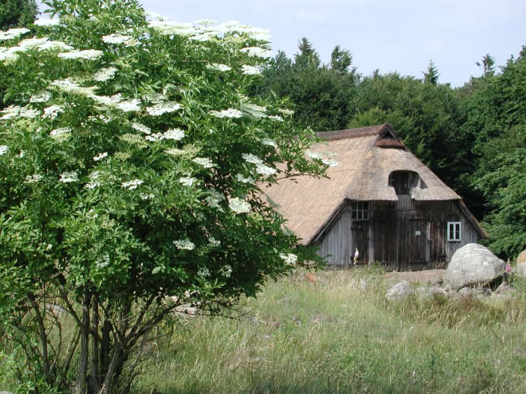 VNP-Schafstall "Hainköpen" | VNP Stiftung