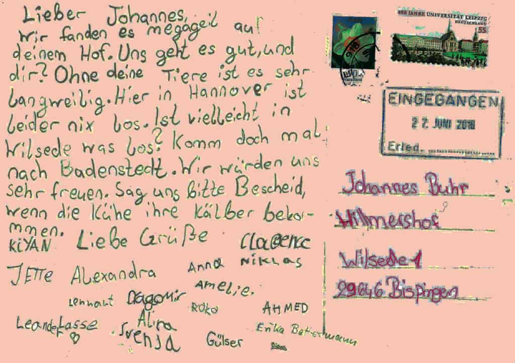 VNP school farm: postcare for the Hillmershof from Badenstedt | VNP Kinderakademie