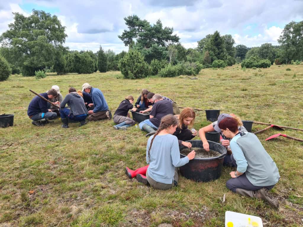Artenkenntnisseminar Wilsede Lüneburger Heide 2025 Exkursion