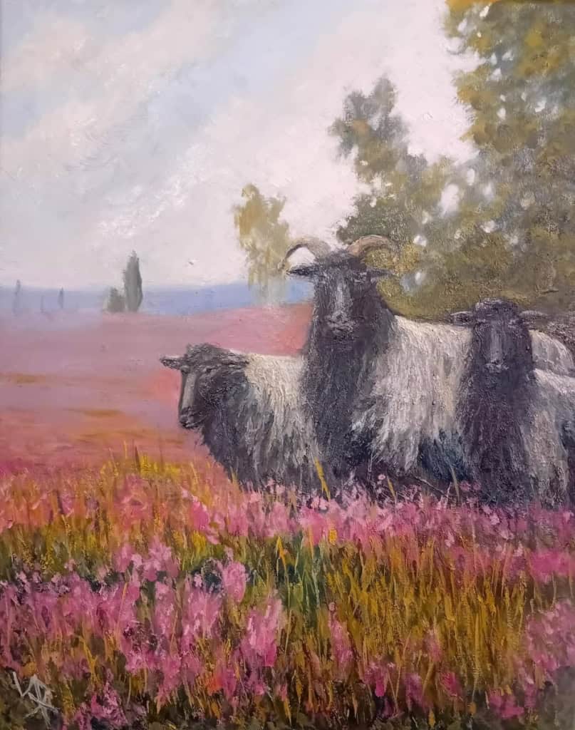 bild stephan luxem naturlichtmaler heidschnucken in blühender Heidelandschaft