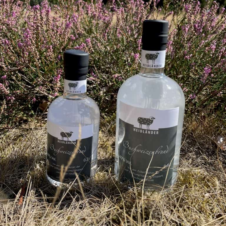 buchweizenbrand heidländer heide vnp stiftung naturschutzpark lüneburger heide