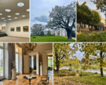 collage zur vnp tagesexkursion in den jenischpark