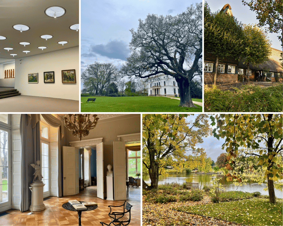 collage zur vnp tagesexkursion in den jenischpark