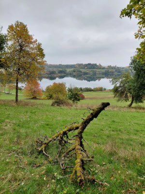 dauner maare vnp naturexkursion vulkaneifel | Foto: VNP Stiftung Naturschutzpark Lüneburger Heide