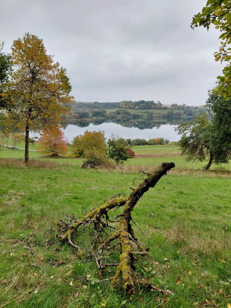 dauner maare vnp naturexkursion vulkaneifel | Foto: VNP Stiftung Naturschutzpark Lüneburger Heide