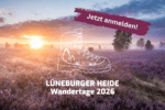 Grafik Lüneburger Heide Wandertage 2026