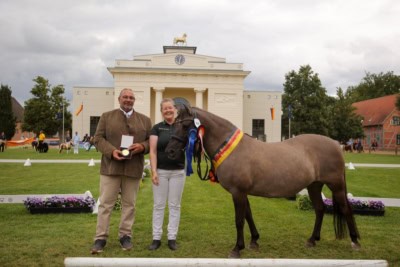 dülmener stute nora raimon joesten britta becker redefin 2025 foto rainer kohl