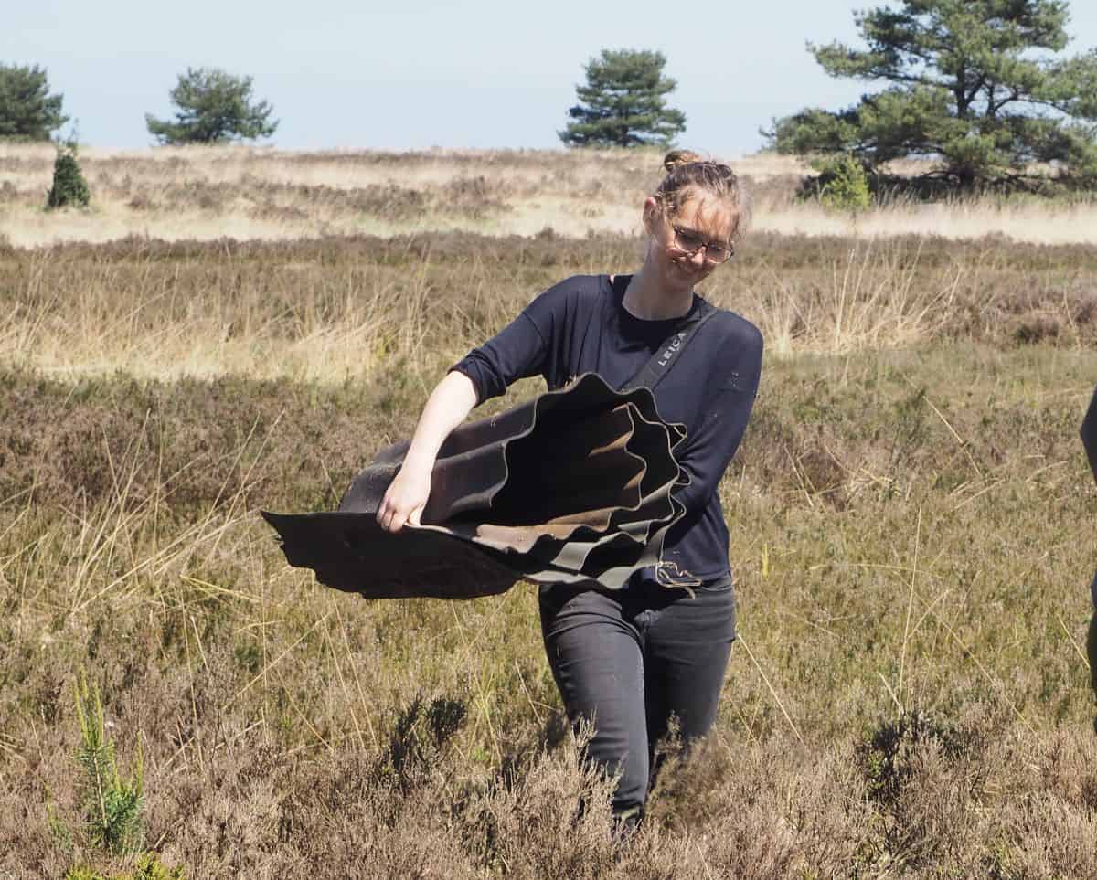 Ehrenamtliches Engagement beim VNP