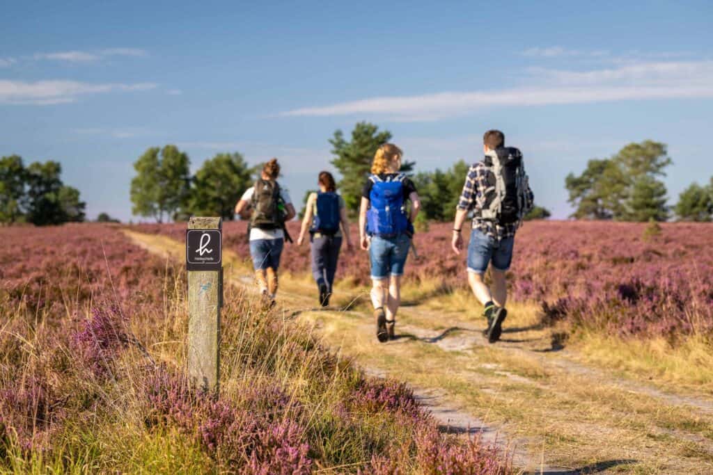 lueneburger heide wandertage gefuehrte touren