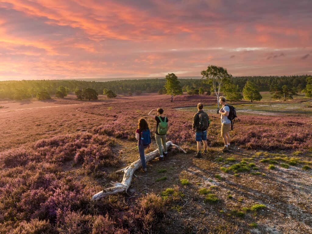 lueneburger heide wandertage gemeinsame wandertouren