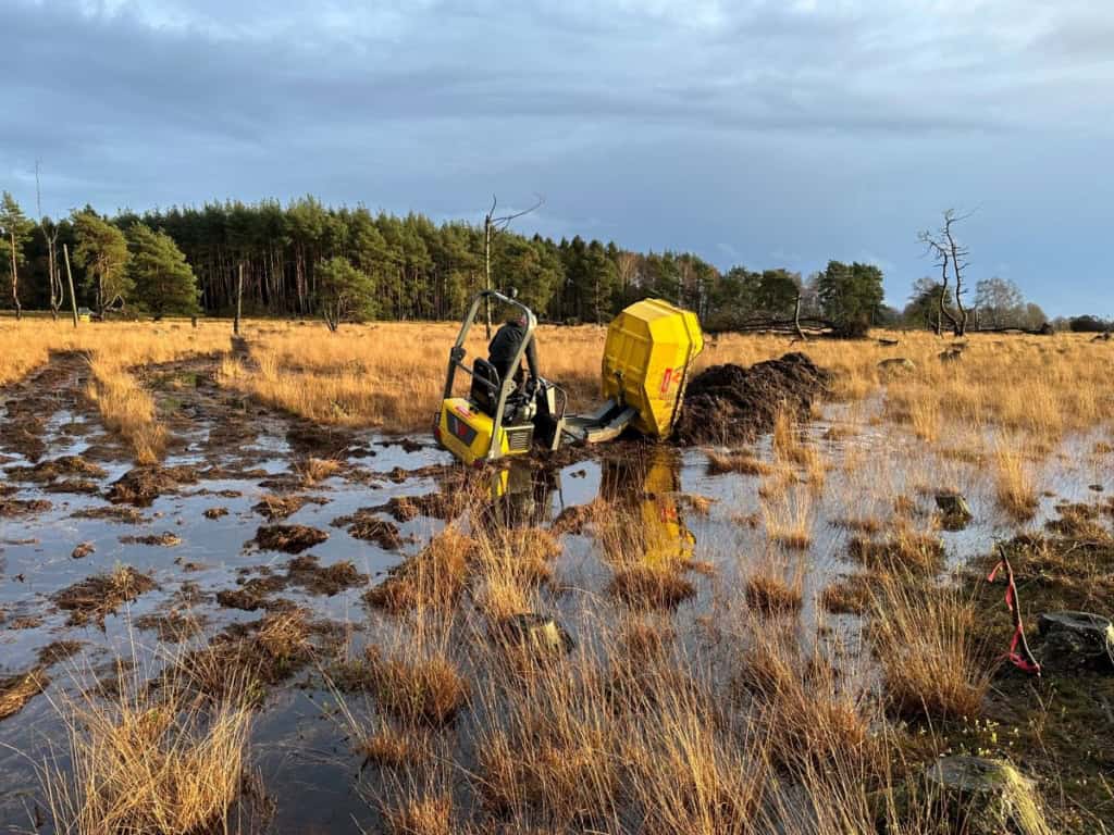 moorschutz mit Minibagger im pietzmoor