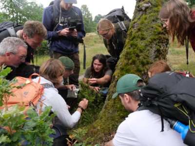 Exkursion beim Artenkenntnisseminar Wilsede 2025 | VNP Stiftung Naturschutzpark Lüneburger Heide