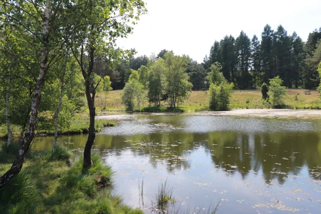 pastorenteiche wesel vnp stiftung naturschutzpark (2)
