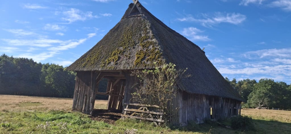 schafstall hörpel schmale aue