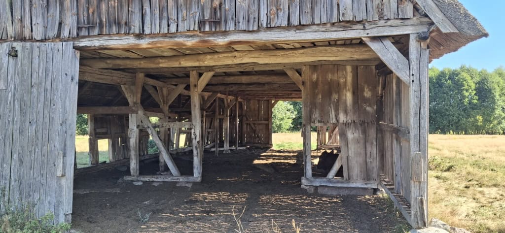 schafstall hörpel schmale aue innenansicht