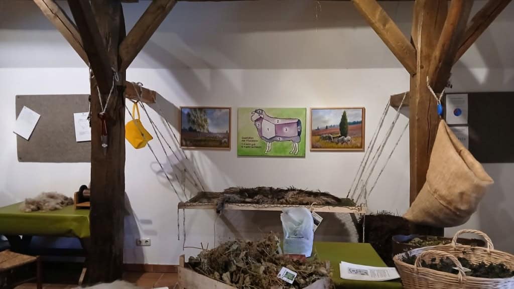 station rohwolle ausstellungsschafstall foto wiebke schwandt