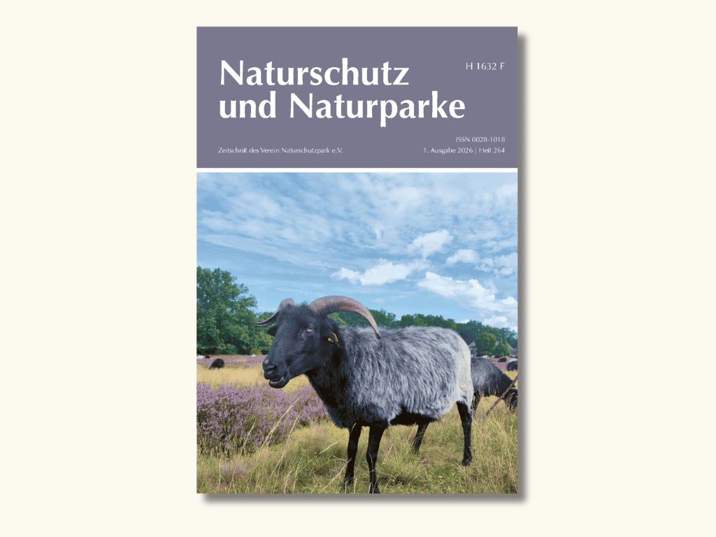 titel mitglieder zeitschrift 264 website