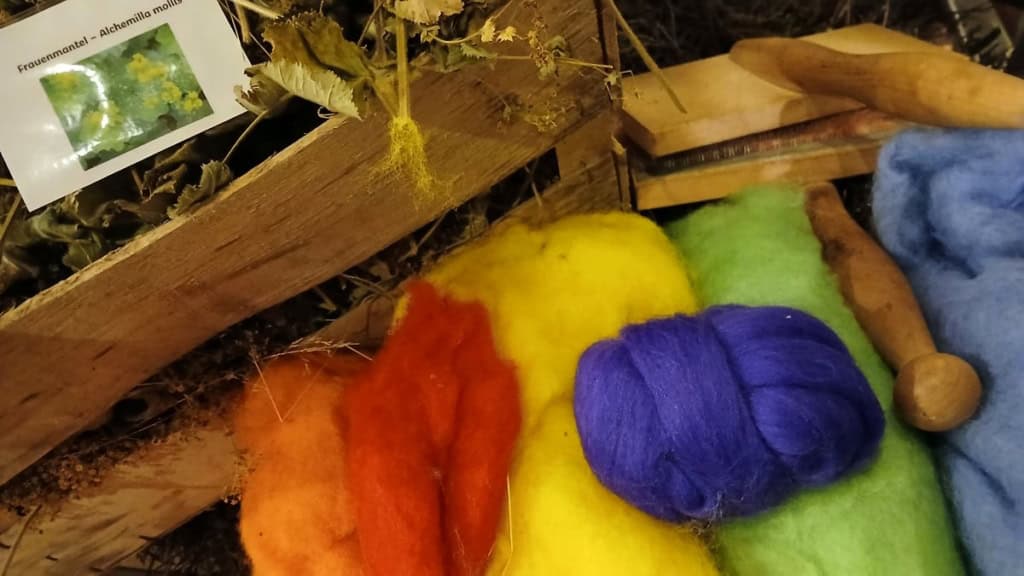 workshop färben foto wiebke schwandt