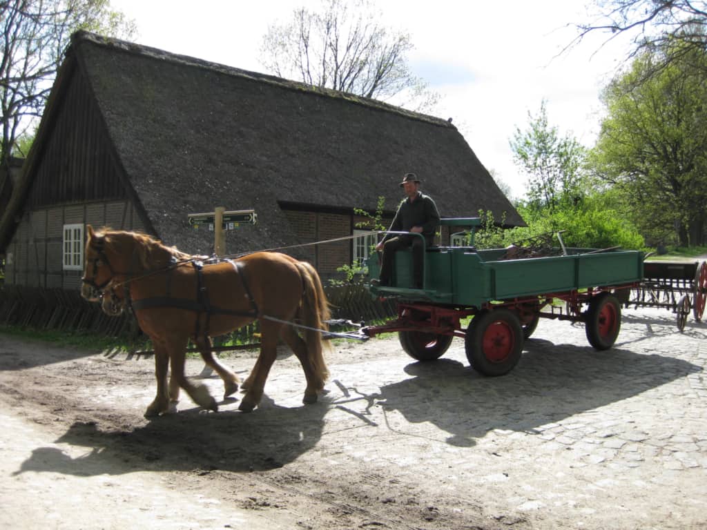 Alte Wirtschaftsweisen in der Landwirtschaft | Pferd und Wagen | VNP Stiftung Naturschutzpark