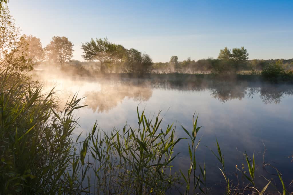 Der Nebel steigt auf über den Karpfenteichen der Teichwirtschaft Holm | Foto: Sven Kleinert