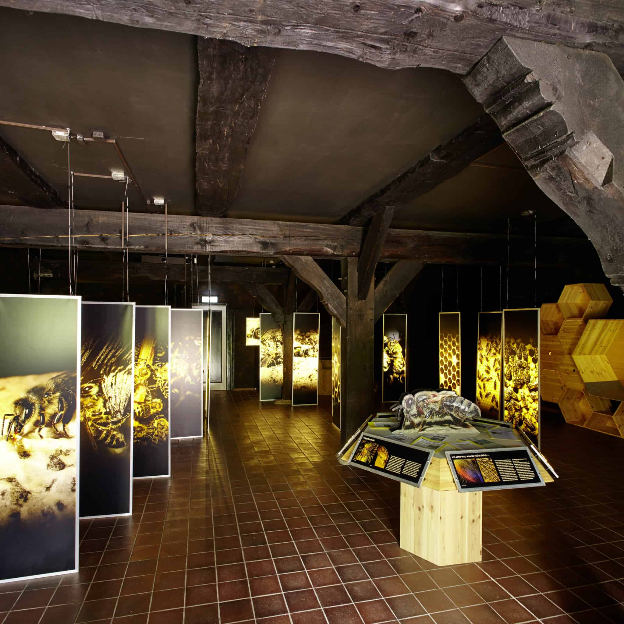 "Bee World" Niederhaverbeck: View of the exhibition | Photo: Burmester