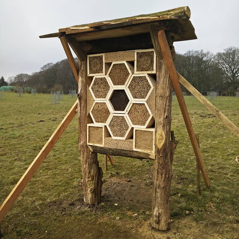 Ein FÖJ-Projekt: die Wildbienenwand