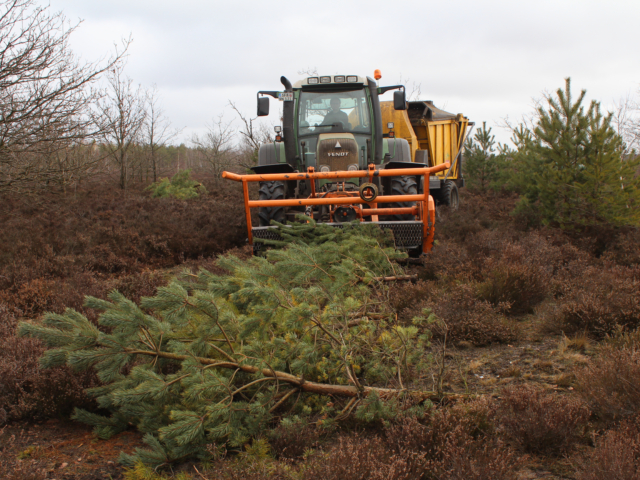 Heidepflege: Entkussselungsmaterial und Mähcontainer | Foto: VNP Stiftung Naturschutzpark Lüneburger Heide