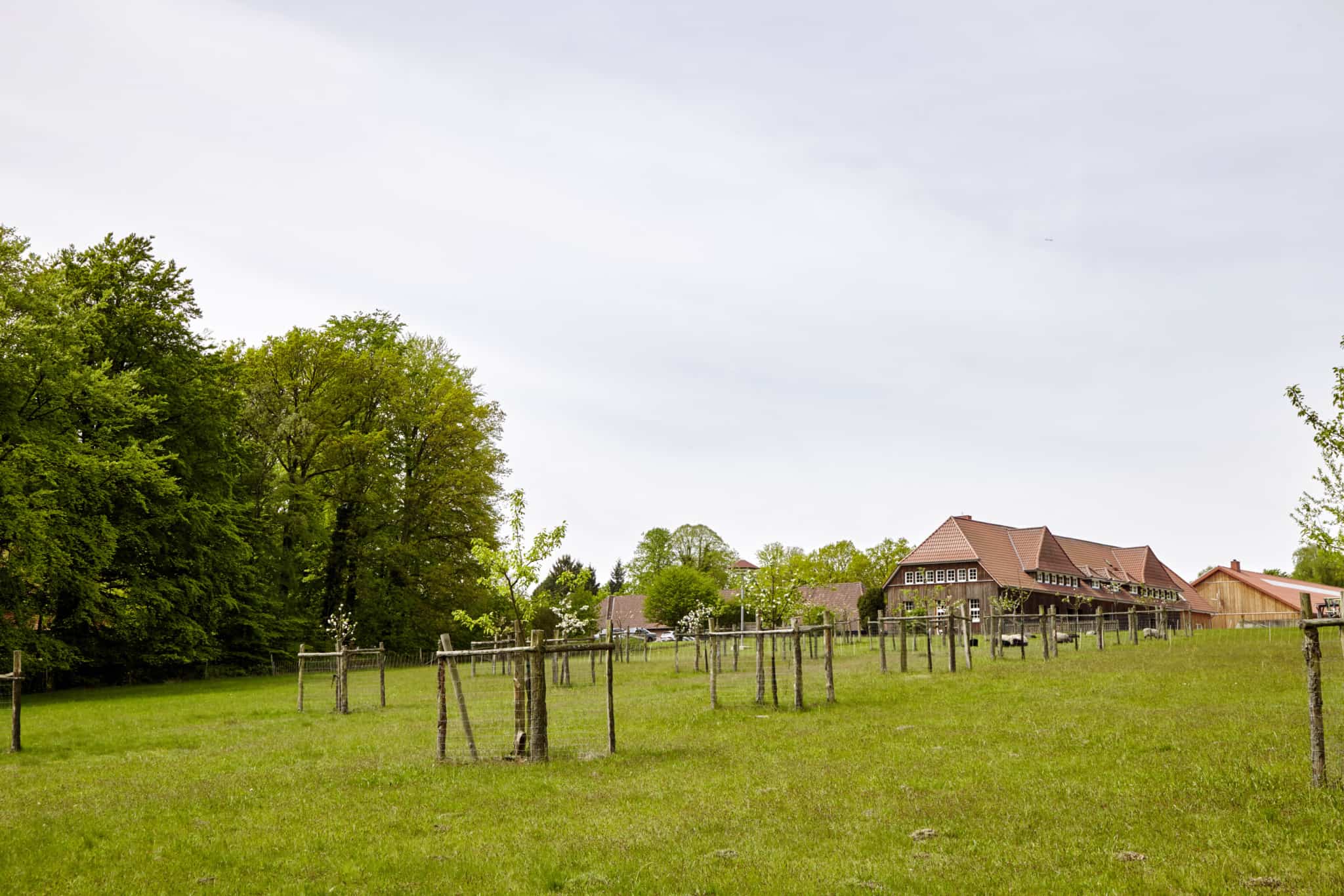 Landschaftspflegehof Hof Tütsberg