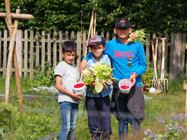 Schulbauernhof Hillmershof Wilsede: Ernte im Gemüsegarten | Foto: VNP Stiftung Naturschutzpark Lüneburger Heide