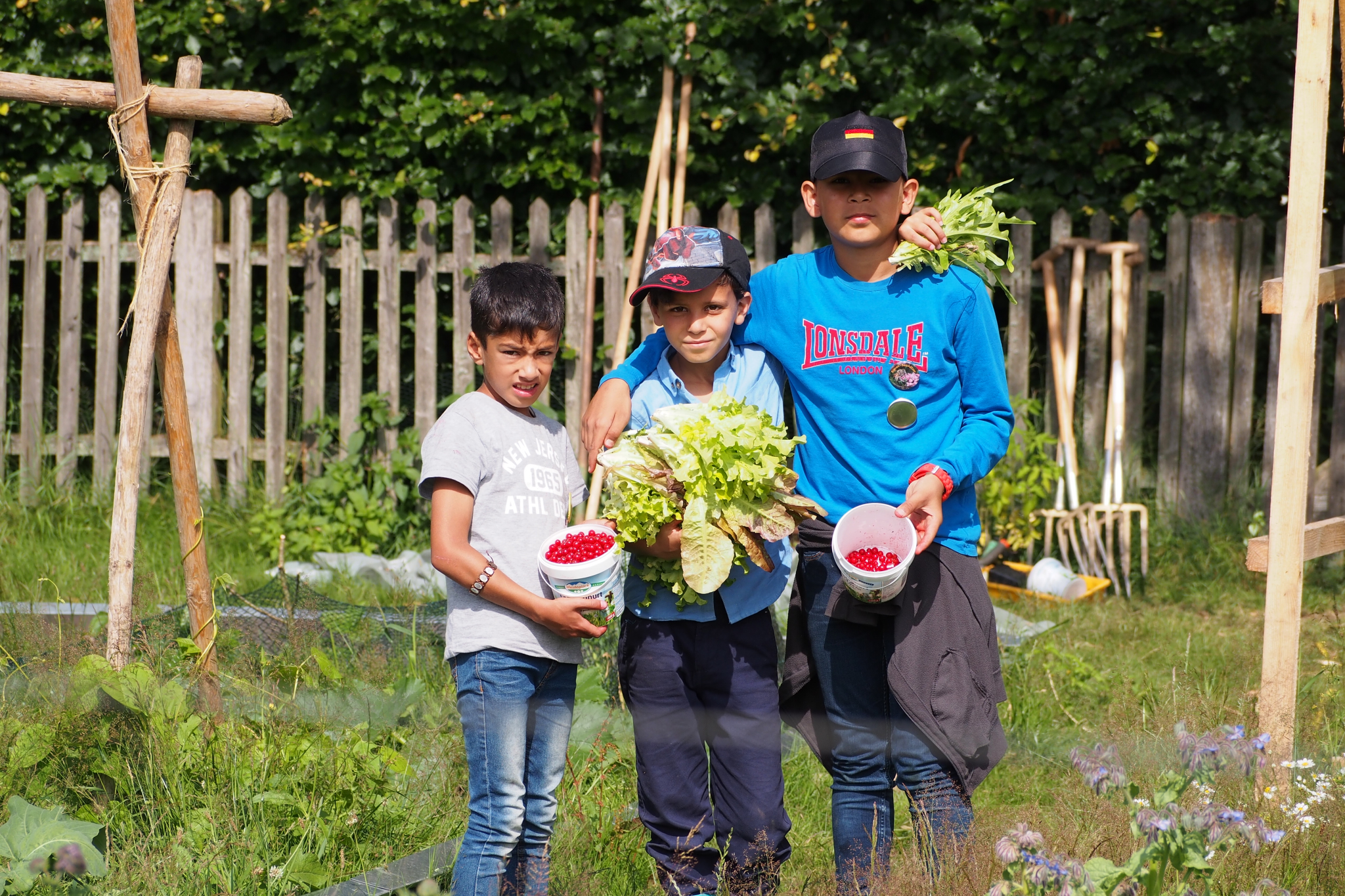 School farm Hillmershof: Harvest in the vegetable garden | VNP Children's Academy