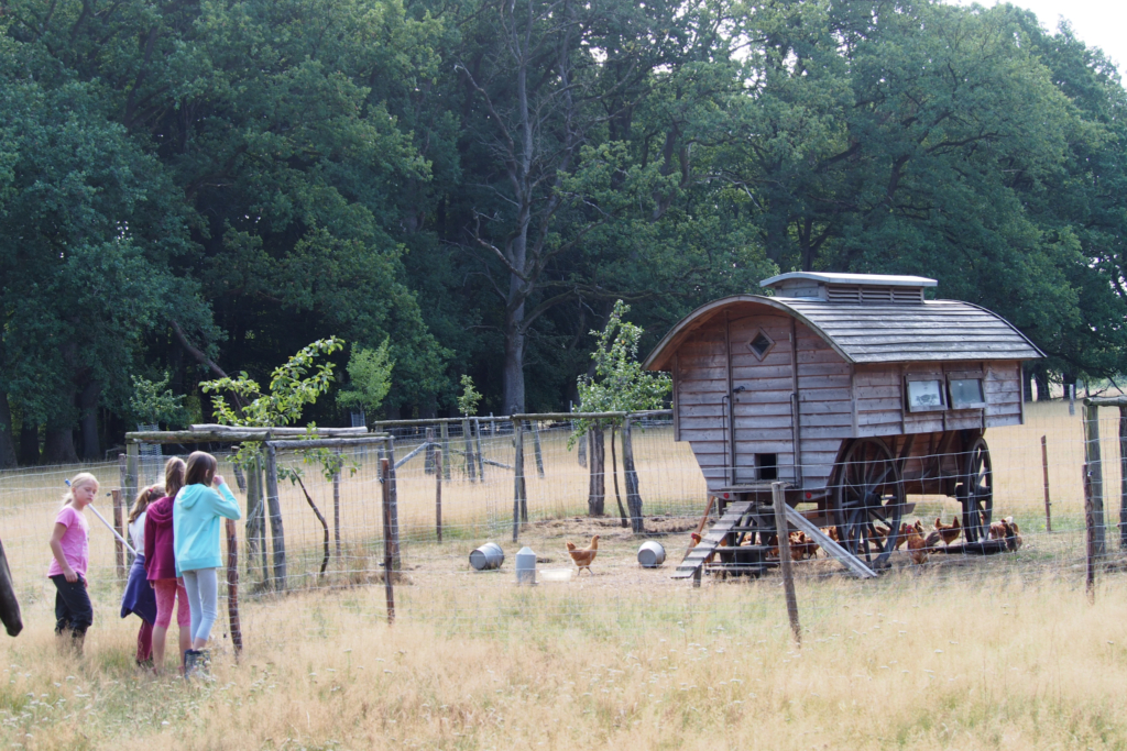 Der Hühnerwagen auf dem Schulbauernhof Hillmershof | VNP Kinderakademie