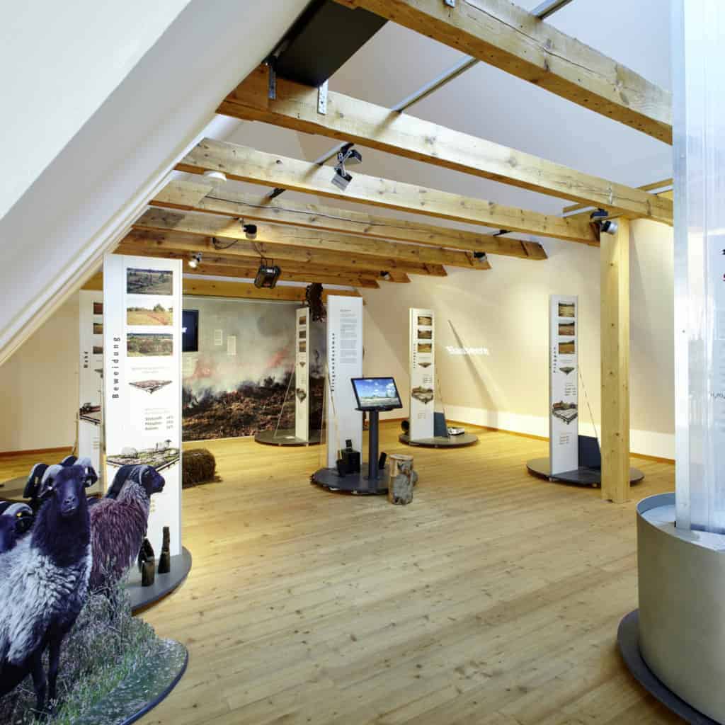 View of the upper floor of the exhibition at the Heide-ErlebnisZentrum Undeloh | photo: Burmester