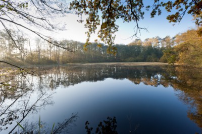 Holmer Teiche: größter Teich- und Feuchtlebensraum des Naturschutzgebietes Lüneburger Heide | Foto: Sven Kleinert