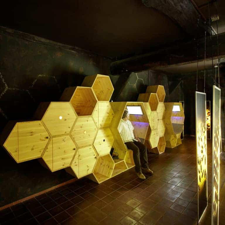 "Bee World" Niederhaverbeck: The honeycombs reveal many secrets | Photo: Burmester